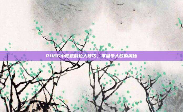 PUBG中隐藏的拉人技巧,不显示人数的奥秘