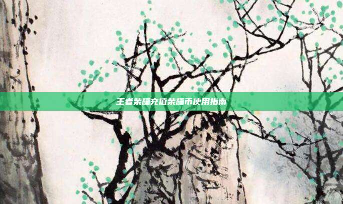 王者荣耀充值荣耀币使用指南