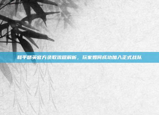 和平精英官方录取流程解析,玩家如何成功加入正式战队