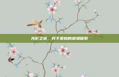 光影之旅,月下爱拍的浪漫探索