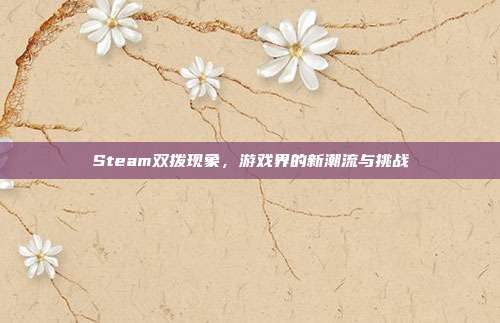 Steam双拨现象,游戏界的新潮流与挑战