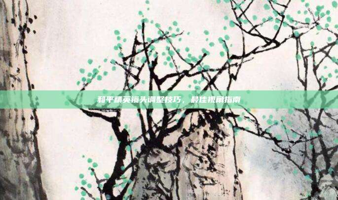 和平精英镜头调整技巧,最佳视角指南