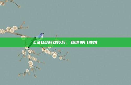 CSGO游戏技巧,精通关门战术