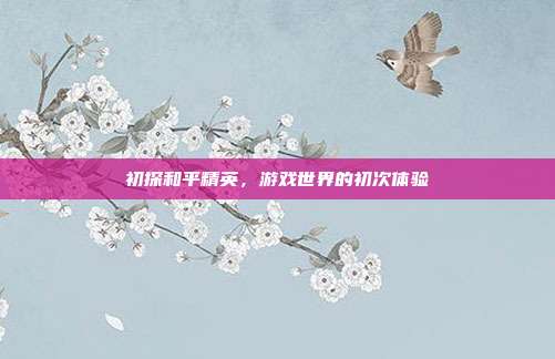 初探和平精英,游戏世界的初次体验