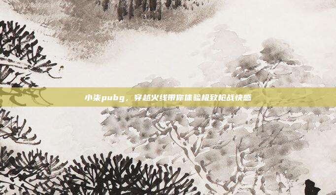 小柒pubg,穿越火线带你体验极致枪战快感