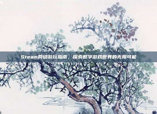 Steam网络游玩指南,探索数字游戏世界的无限可能