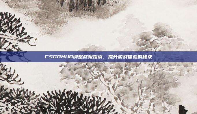 CSGOHUD调整终极指南,提升游戏体验的秘诀