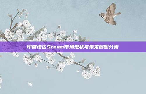 印度地区Steam市场现状与未来展望分析