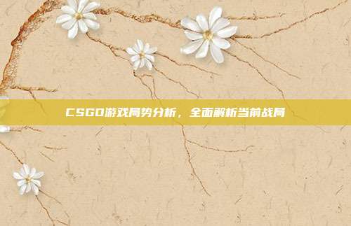 CSGO游戏局势分析,全面解析当前战局