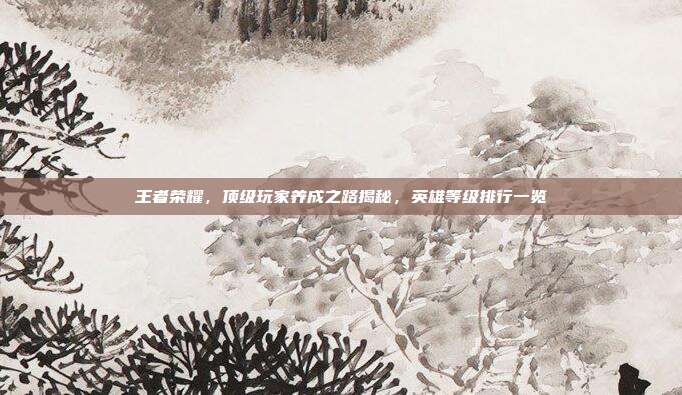 王者荣耀,顶级玩家养成之路揭秘,英雄等级排行一览