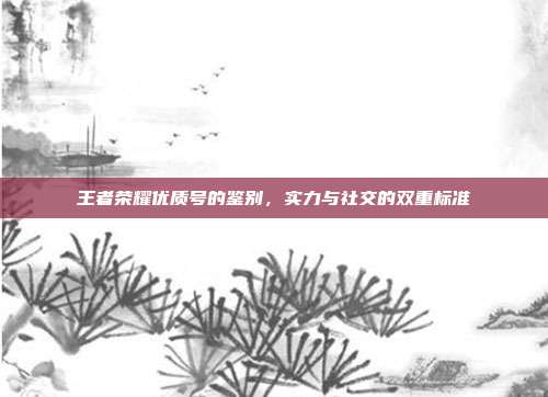 王者荣耀优质号的鉴别,实力与社交的双重标准