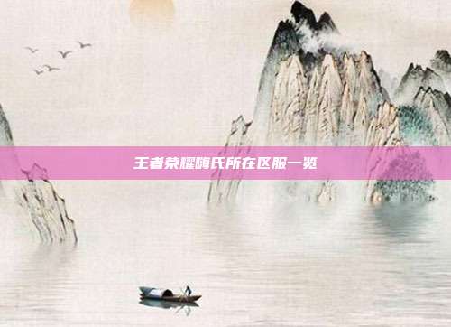 王者荣耀嗨氏所在区服一览