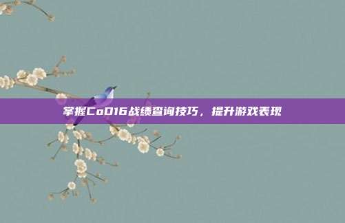 掌握CoD16战绩查询技巧,提升游戏表现