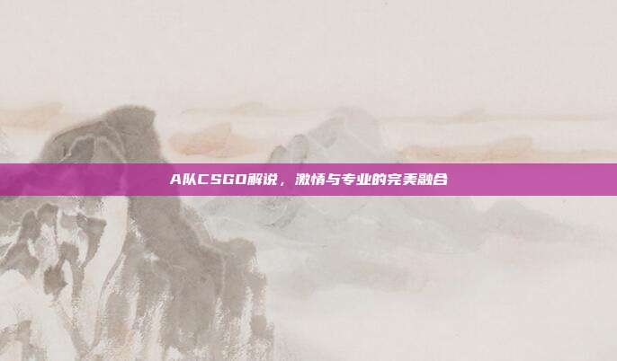 A队CSGO解说,激情与专业的完美融合