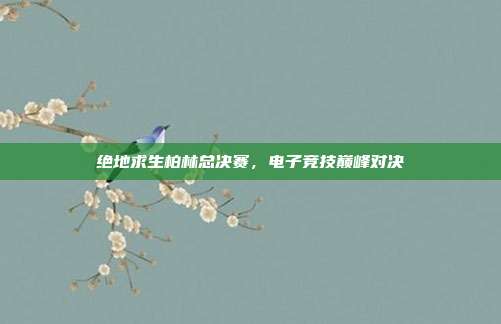 绝地求生柏林总决赛,电子竞技巅峰对决