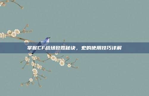 掌握CF战场致胜秘诀,宏的使用技巧详解