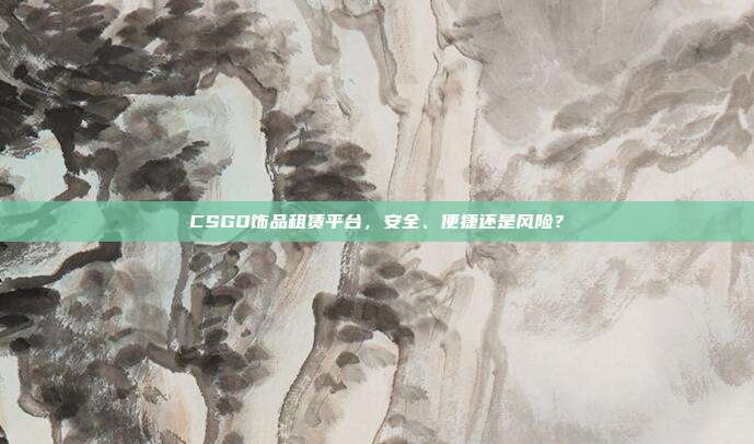 CSGO饰品租赁平台,安全、便捷还是风险?