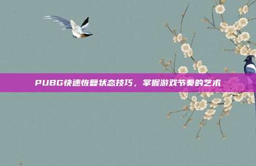 PUBG快速恢复状态技巧,掌握游戏节奏的艺术