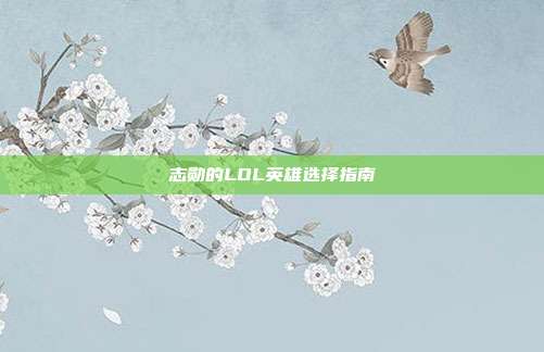 志勋的LOL英雄选择指南