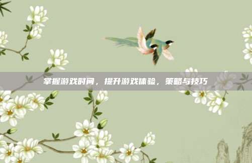 掌握游戏时间,提升游戏体验,策略与技巧