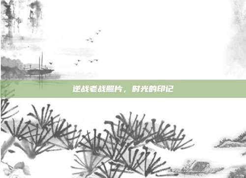 逆战老战照片,时光的印记