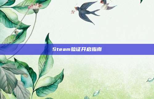 Steam验证开启指南