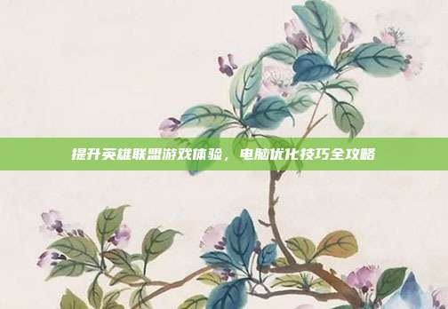 提升英雄联盟游戏体验,电脑优化技巧全攻略