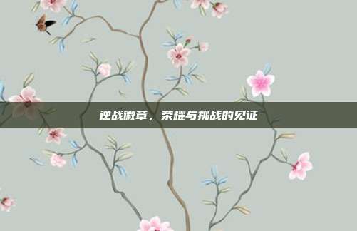 逆战徽章,荣耀与挑战的见证