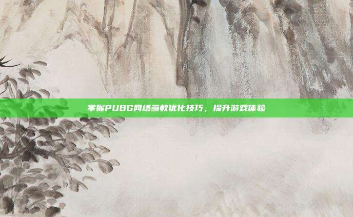 掌握PUBG网络参数优化技巧,提升游戏体验