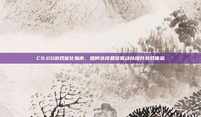 CS:GO游戏优化指南,如何选择最佳驱动以提升游戏体验