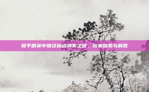 和平精英中物资标点消失之谜,玩家探索与解答