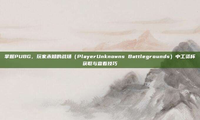 掌握PUBG,玩家未知的战场(PlayerUnknowns Battlegrounds)中工资杯获取与查看技巧