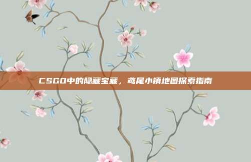 CSGO中的隐藏宝藏,鸢尾小镇地图探索指南