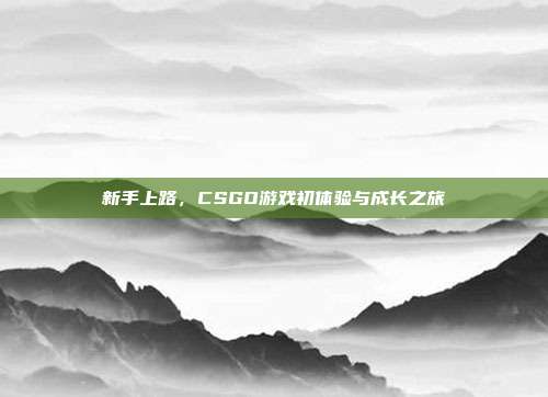 新手上路,CSGO游戏初体验与成长之旅