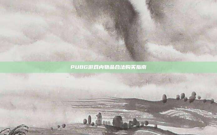 PUBG游戏内物品合法购买指南