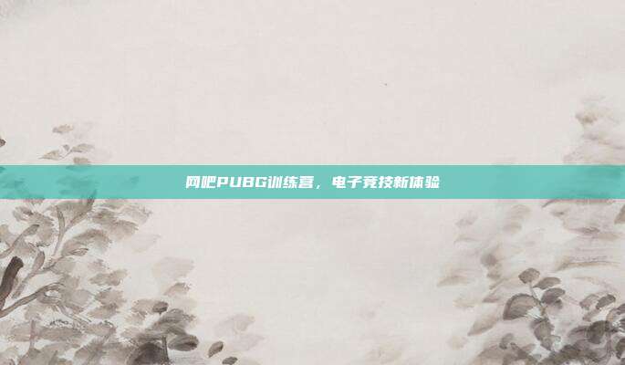 网吧PUBG训练营,电子竞技新体验