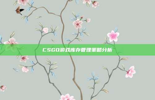 CSGO游戏库存管理策略分析