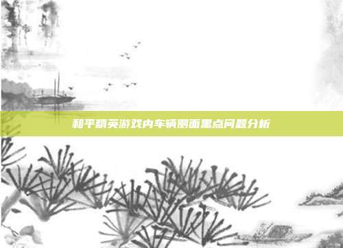 和平精英游戏内车辆侧面黑点问题分析