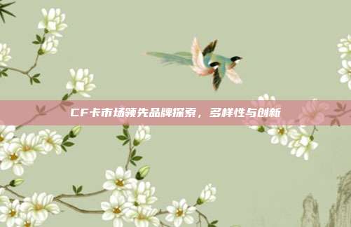 CF卡市场领先品牌探索,多样性与创新
