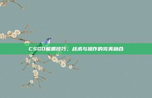 CSGO熊抓技巧,战术与操作的完美融合
