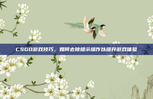 CSGO游戏技巧,如何去除提示操作以提升游戏体验