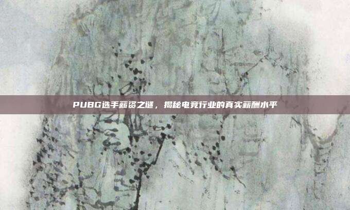 PUBG选手薪资之谜,揭秘电竞行业的真实薪酬水平