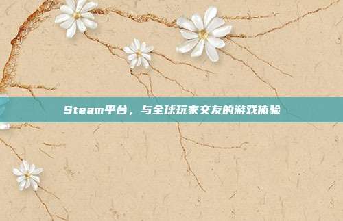 Steam平台,与全球玩家交友的游戏体验