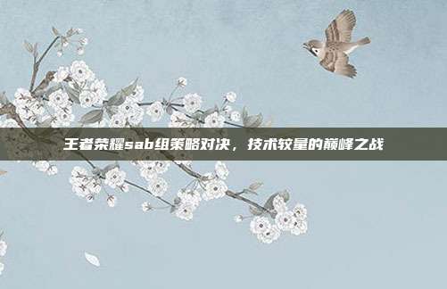 王者荣耀sab组策略对决,技术较量的巅峰之战