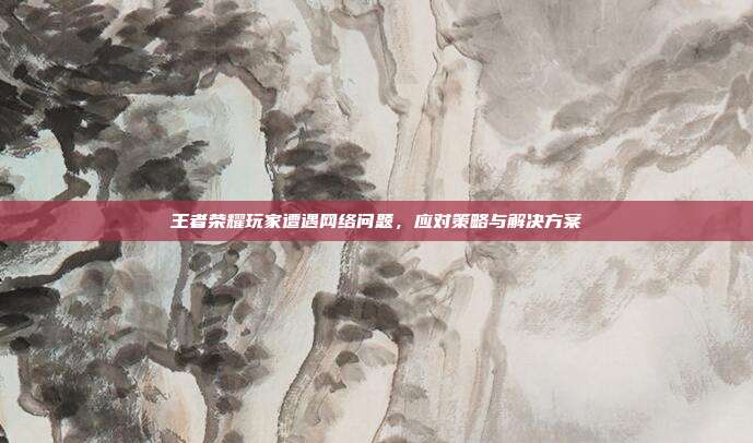 王者荣耀玩家遭遇网络问题,应对策略与解决方案