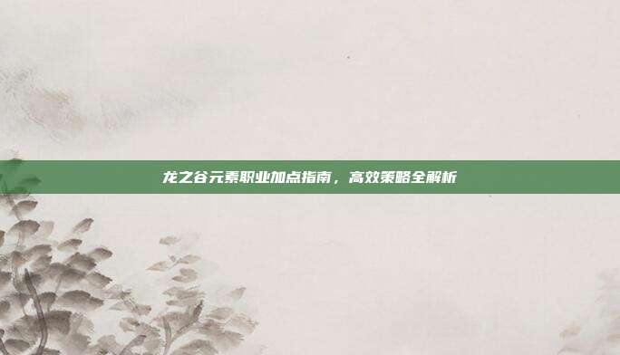 龙之谷元素职业加点指南,高效策略全解析