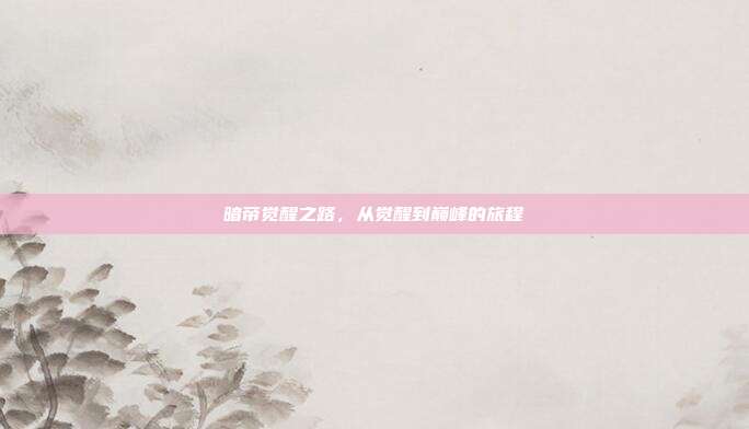 暗帝觉醒之路,从觉醒到巅峰的旅程