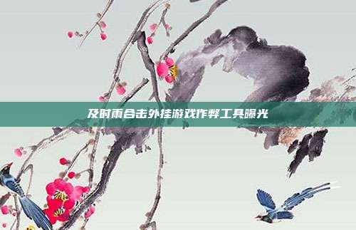 及时雨合击外挂游戏作弊工具曝光