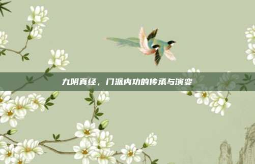 九阴真经,门派内功的传承与演变