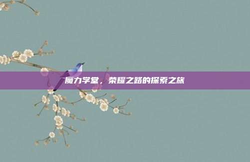 魔力学堂,荣耀之路的探索之旅